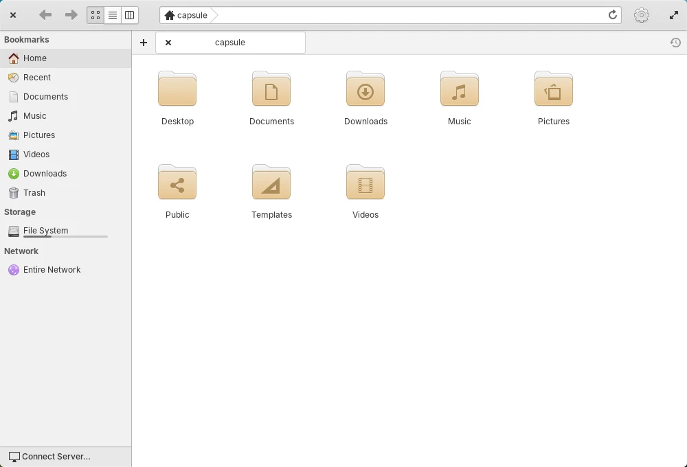 elementary OS sur la machine de référence : Fichiers : la vue par défaut