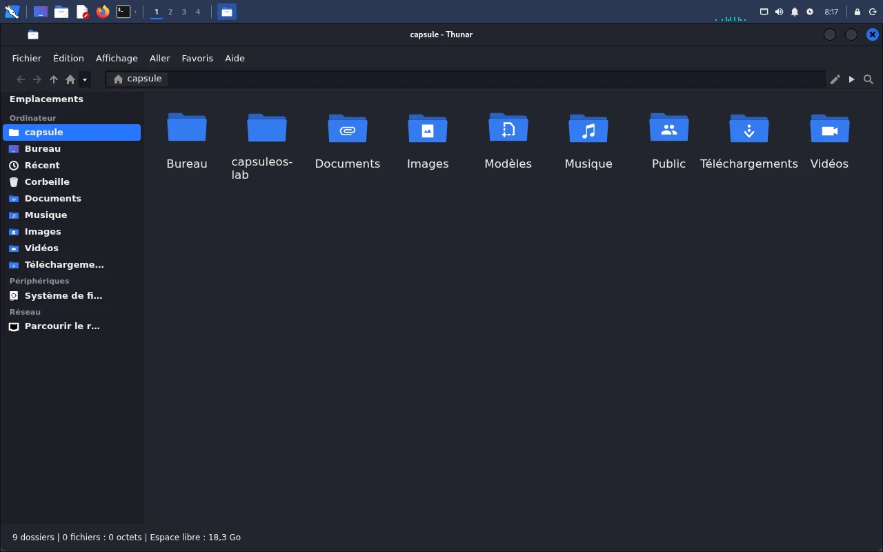 La même scène reproduite dans CapsuleOS