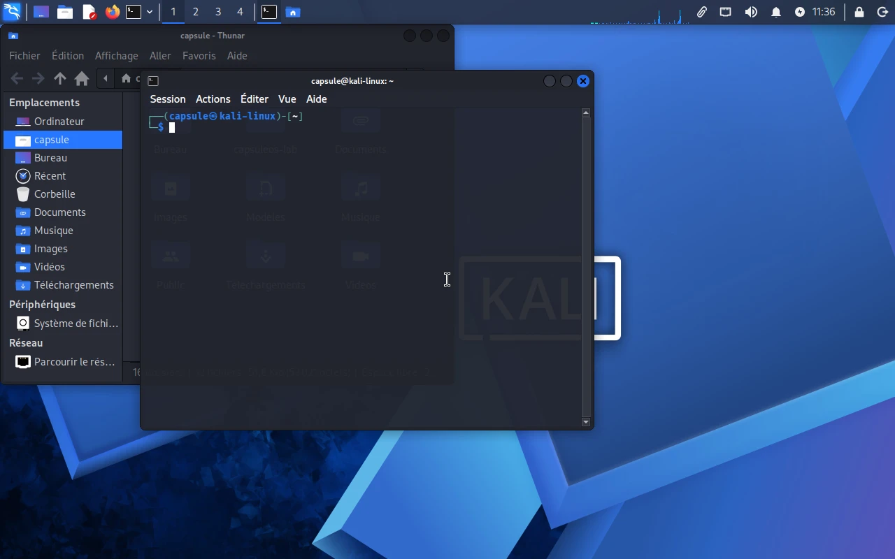 Kali Linux sur la machine de référence : Le terminal en plein écran, pour taper des commandes