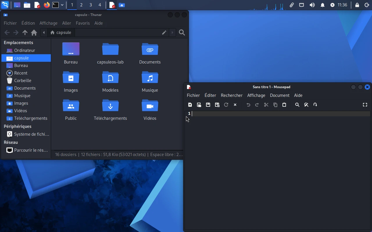Kali Linux sur la machine de référence : Mousepad, l'éditeur de texte, en plein écran