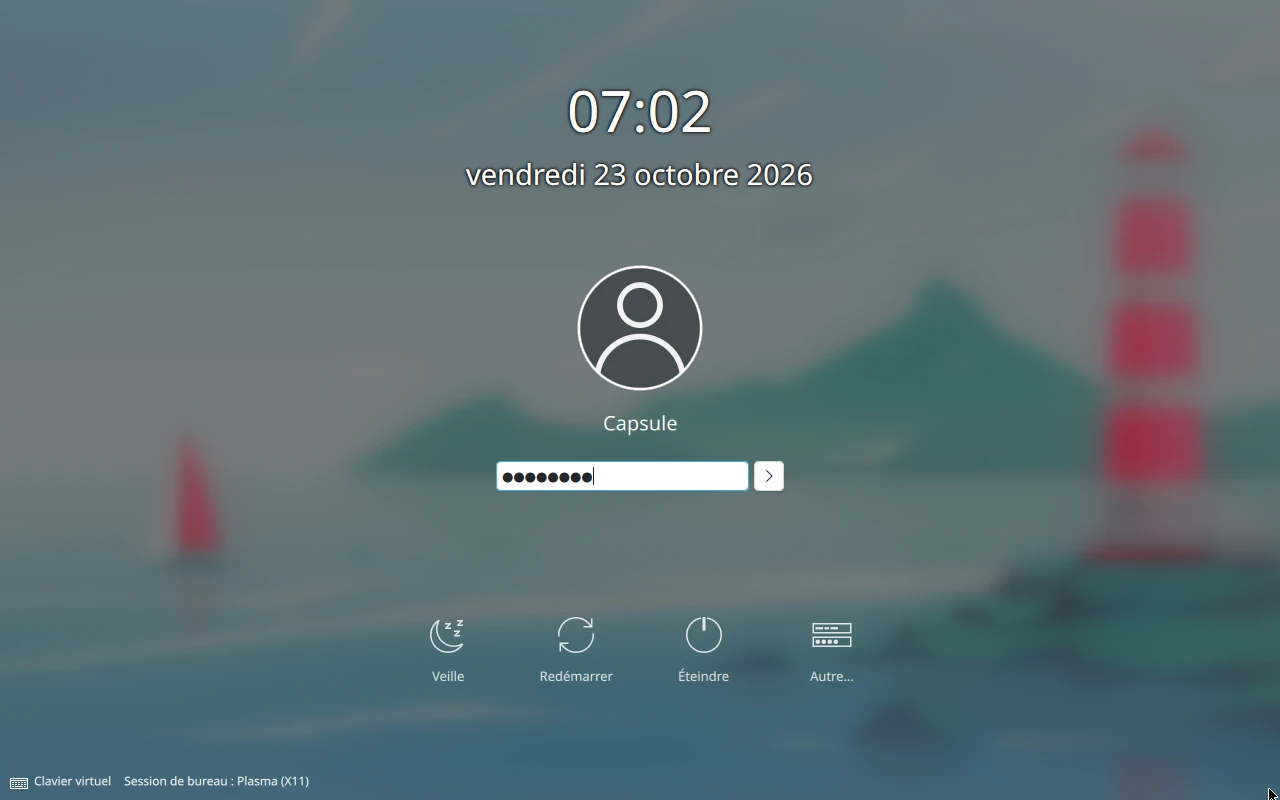 Le mot de passe est saisi (masqué)