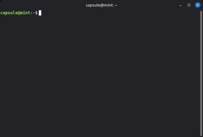 La même scène reproduite dans CapsuleOS