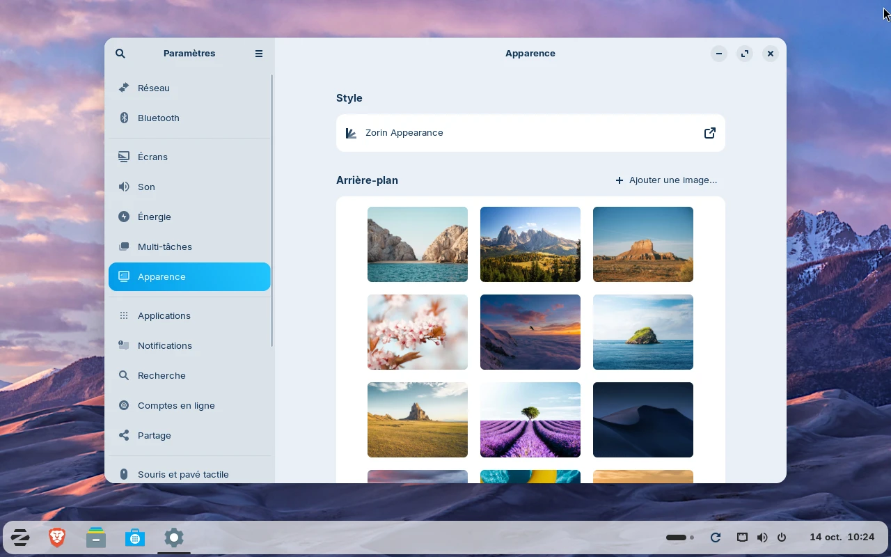 Zorin OS sur la machine de référence : Paramètres : la page Apparence